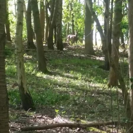 Bredon Westhurst Park Bnb מראה חיצוני תמונה