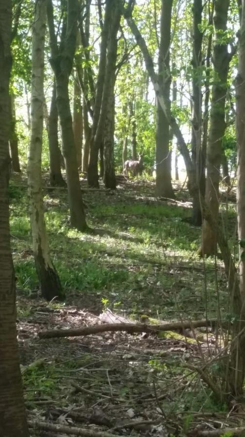 Bredon Westhurst Park Bnb מראה חיצוני תמונה
