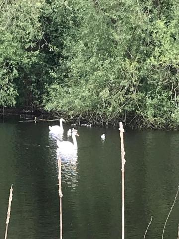 Bredon Westhurst Park Bnb מראה חיצוני תמונה