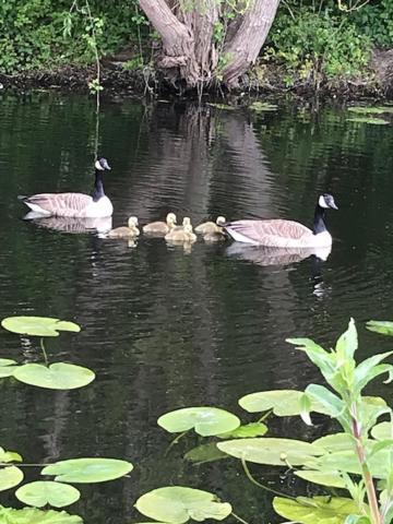 Bredon Westhurst Park Bnb מראה חיצוני תמונה